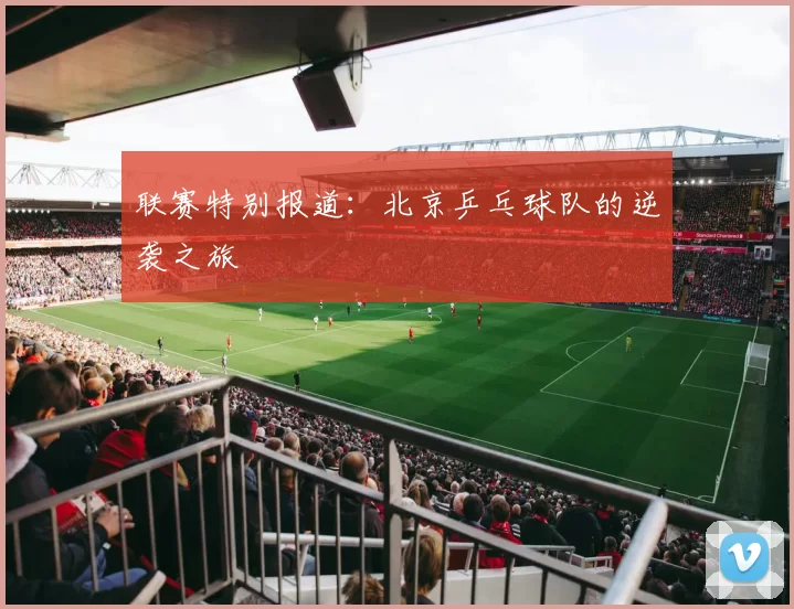 联赛特别报道：北京乒乓球队的逆袭之旅