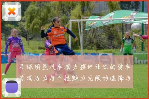 足球明星汽车摇头摆件让你的爱车充满活力与个性魅力无限的选择与搭配