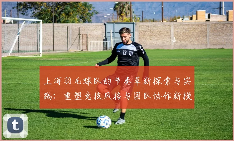 上海羽毛球队的节奏革新探索与实践：重塑竞技风格与团队协作新模式
