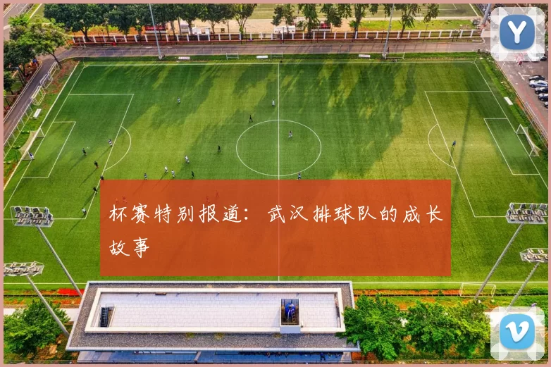 杯赛特别报道：武汉排球队的成长故事