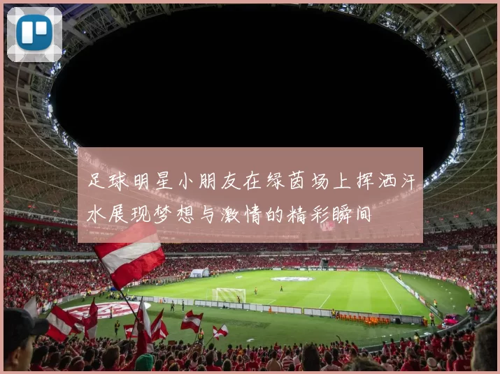 足球明星小朋友在绿茵场上挥洒汗水展现梦想与激情的精彩瞬间